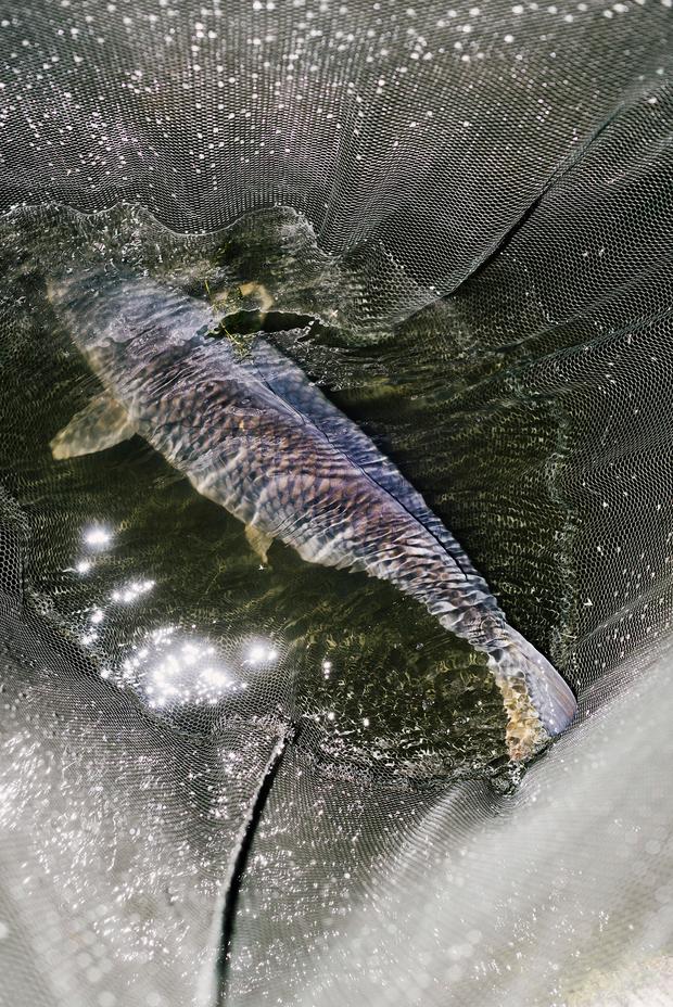 Tim Gassauers Serie „Stiller Grund“ widmet sich den zahlreichen angelnden Menschen diesseits und jenseits der Oder.