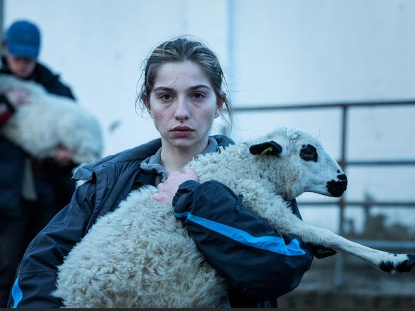 Mäh, ihr Schafe. Olgas und Antoines Tochter macht sich nützlich. 
