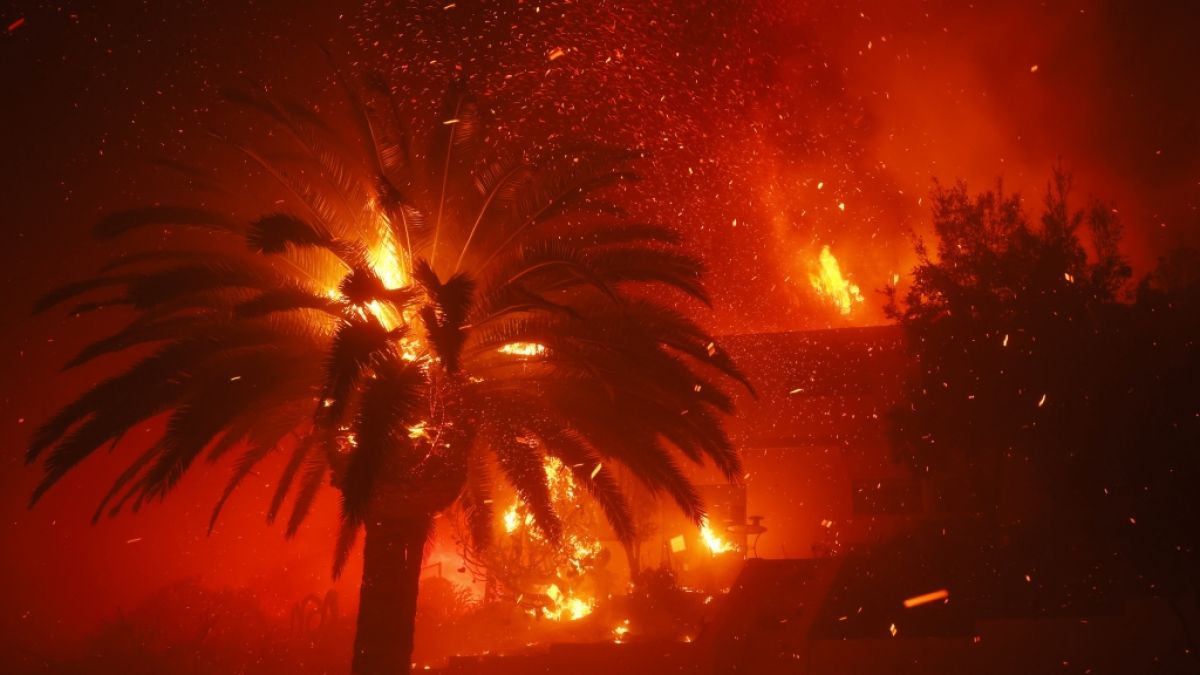 Das Palisades-Feuer verbrennt Bäume und Häuser im Stadtteil Pacific Palisades. (Foto)