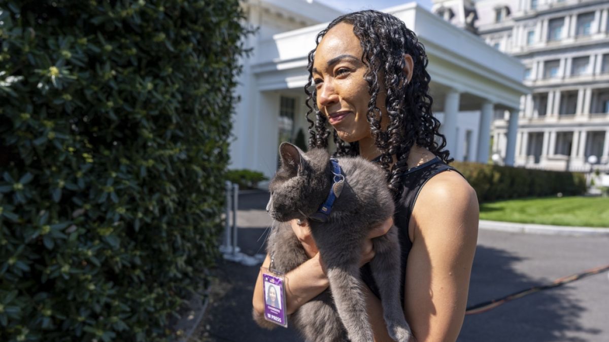 Schließlich wurde die Katze wieder ihrem Besitzer zurückgegeben. (Foto)