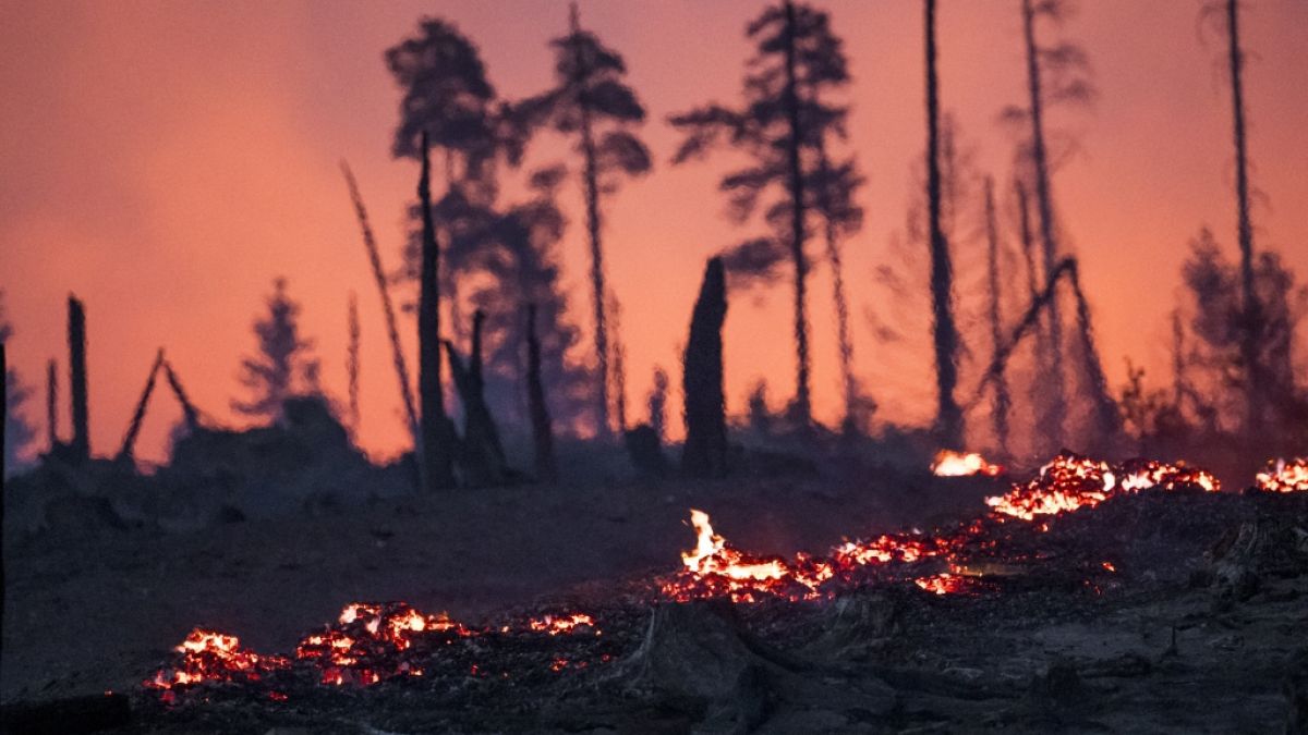 Wegen des Waldbrands im Landkreis Saalfeld-Rudolstadt wurde Katastrophenalarm ausgelöst. (Foto)