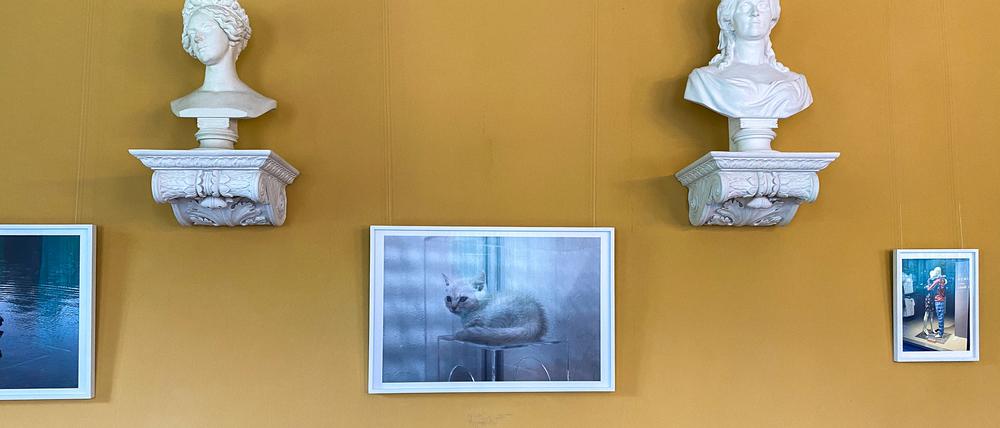 Edle Barockbüsten, süßes Kästchen. Fotos von Lars Eidinger im Pücklerschen Interieur. 