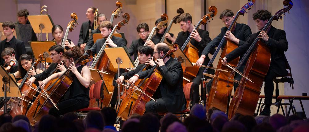 Anspruchsvoller Auswahlprozess: Die Mitglieder des Schleswig-Holstein Festival Orchestra stammen aus der ganzen Welt. 