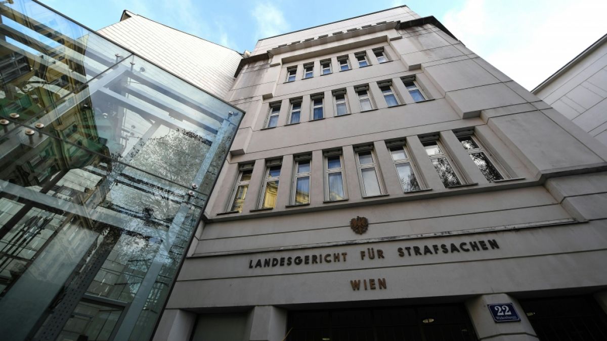 Im Prozess um den mutmaßlichen sexuellen Missbrauch eines Mädchens am Landesgericht in Wien sind alle zehn Angeklagten freigesprochen worden. (Foto)