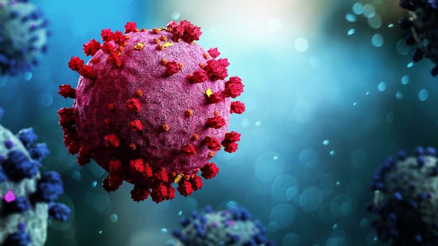 Das Coronavirus löste weltweit eine der größten Pandemien aus. (Symbolfoto) (Foto)