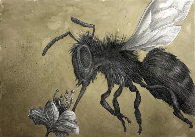 Ein Bild aus Andreas Hartungs Bilderzyklus „The Colour out of Space“.