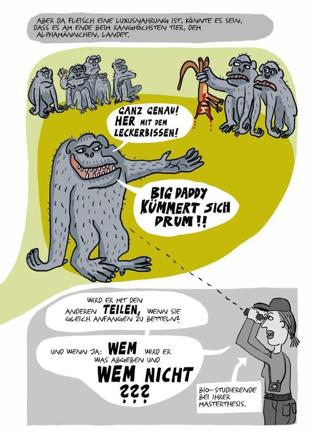„Die kochenden Affen“ von Tine Steen