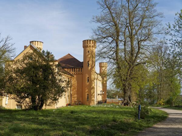 Schloß Petzow, Gutspark, Frühling, Werder , Havelland, Potsdam-Mittelmark, Brandenburg, Deutschland , Europa Schloß Petzow, Gutspark, Frühling, Werder , Havelland, Potsdam-Mittelmark, Brandenburg, Deutschland , Europa